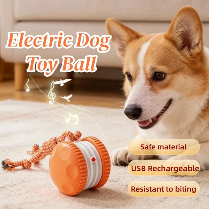 Pelota Interactiva Inteligente Recargable USB para Mascotas — Moving Dog Toy Smart