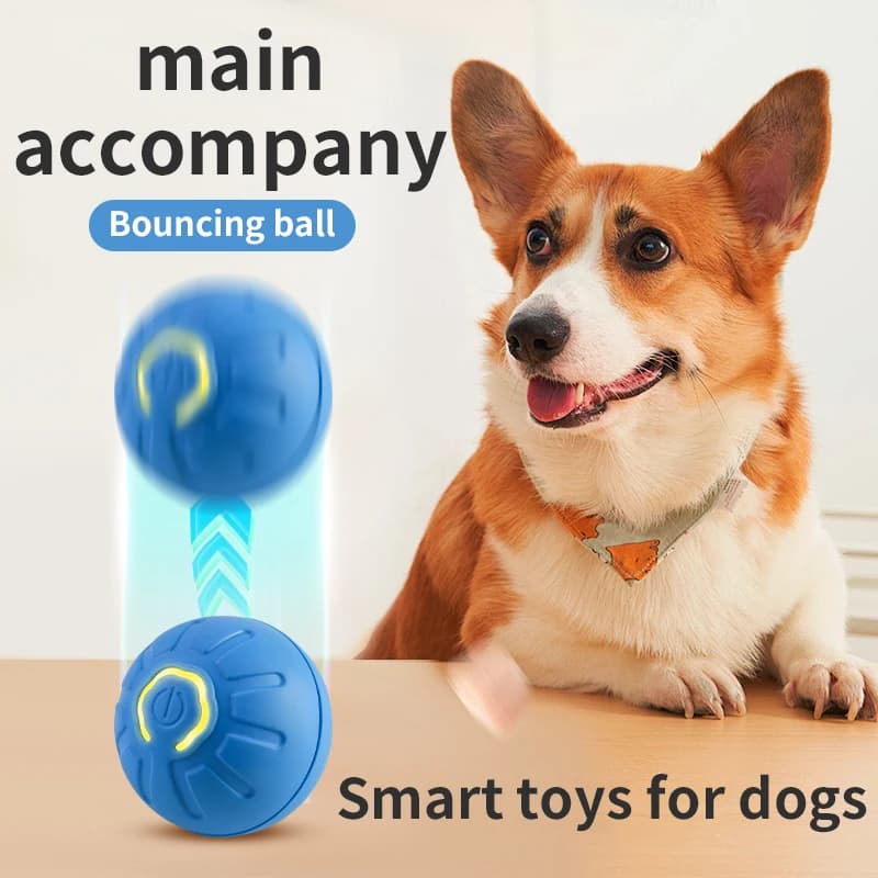 Balle pour chien à mouvement automatique USB intelligente — Jouet Chien Mobile Intelligent